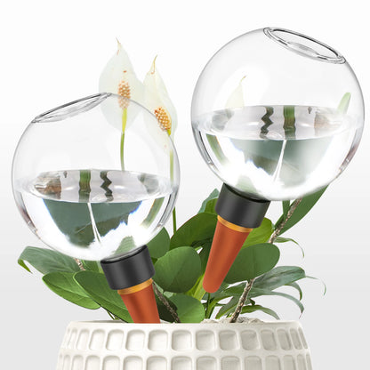 Bumi Bulb